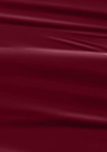 Load image into Gallery viewer, L 2520 – Enigma Plum Nail Polish – 15ml | High Gloss, Gel Like Finish Intense Red Nail Polish | Bold Red Nail Lacquer