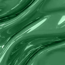 تحميل الصورة إلى عارض المعرض، N-2553- طلاء جل باللون الأخضر الساحر 15 مل