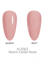 Load image into Gallery viewer, N-2562-Warm Cedar Rose Gel Polish 15ml
