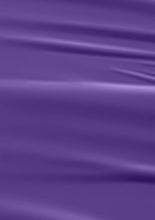 تحميل الصورة إلى عارض المعرض، طلاء أظافر L 2807 Purple Monarch 15 مل 