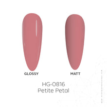 Load image into Gallery viewer, HG0816 Petite Petal Hardgel 30ml
