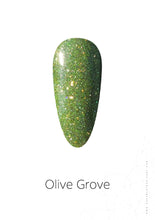 Load image into Gallery viewer, Olive Grove Chrome Powder 0.5gm
